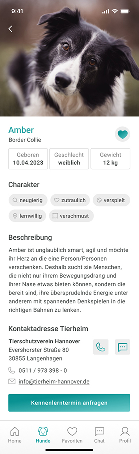Hundeprofil Amber